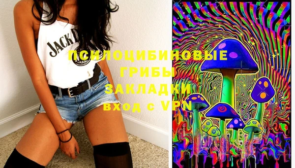 mix Няндома