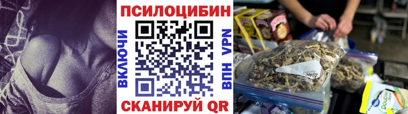 Галлюциногенные грибы Cubensis  kraken ССЫЛКА  Нюрба 